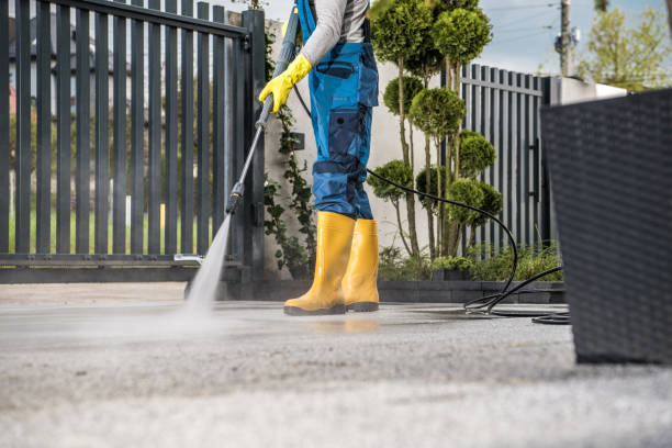 Best Vinyl Siding Pressure Washing in Homer, GA